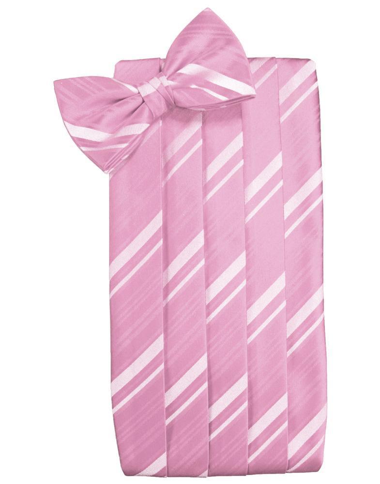 Cardi Rose Petal Kids Striped Satin Cummerbund