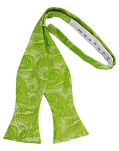 Cardi Self Tie Clover Tapestry Bow Tie