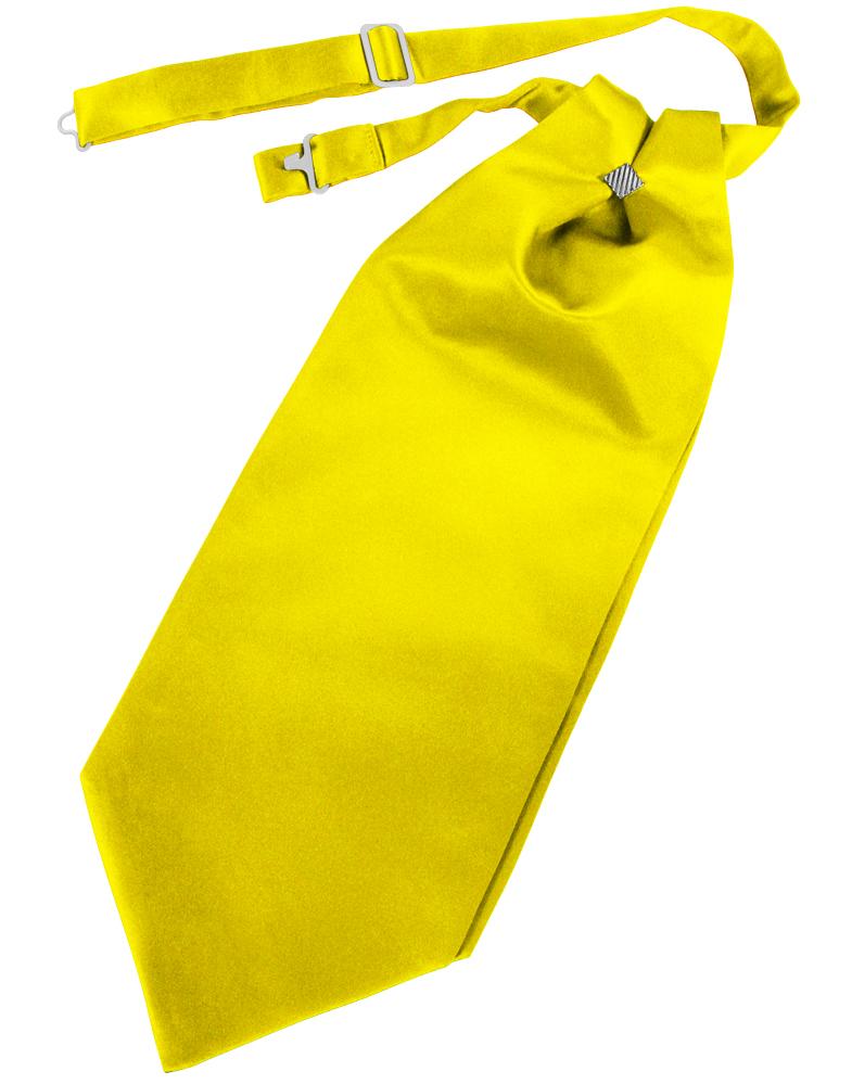 Cardi Sunbeam Solid Satin Kids Cravat