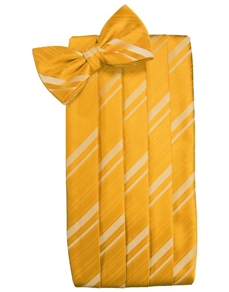 Cardi Tangerine Kids Striped Satin Cummerbund