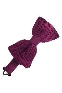 Cristoforo Cardi Bordeaux Silk Knit Bow Tie