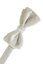 Larr Brio "Luxor" Dove Velvet Bow Tie