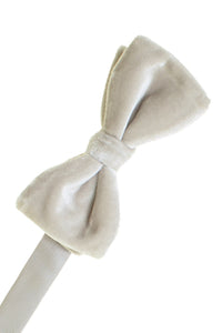 Larr Brio "Luxor" Dove Velvet Bow Tie