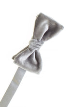 Larr Brio "Luxor" Grey Velvet Bow Tie