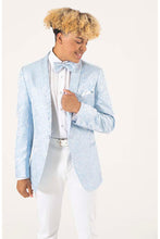 Mark of Distinction "Aries" Wedgewood Paisley Shawl Tuxedo Jacket (Separates)